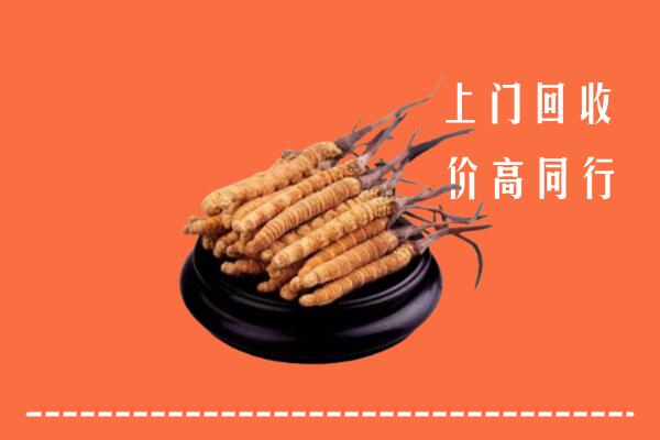 襄阳回收冬虫夏草