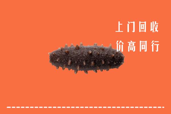 襄阳高价回收海参